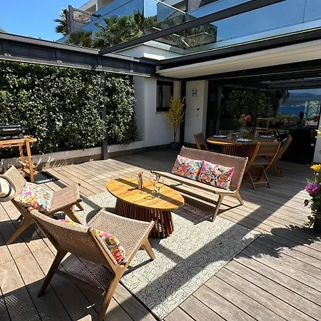 T2 Vue * Портисьо